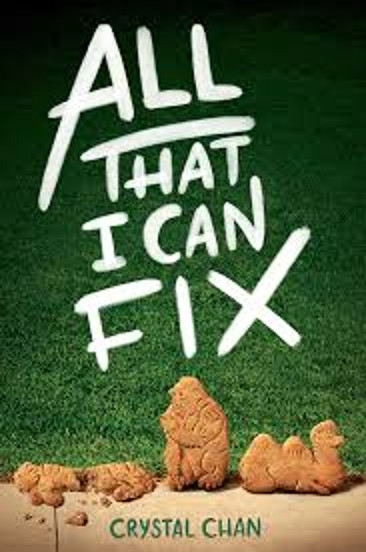 Book: All That I Can Fix