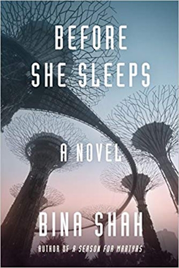 Book: Before She Sleeps