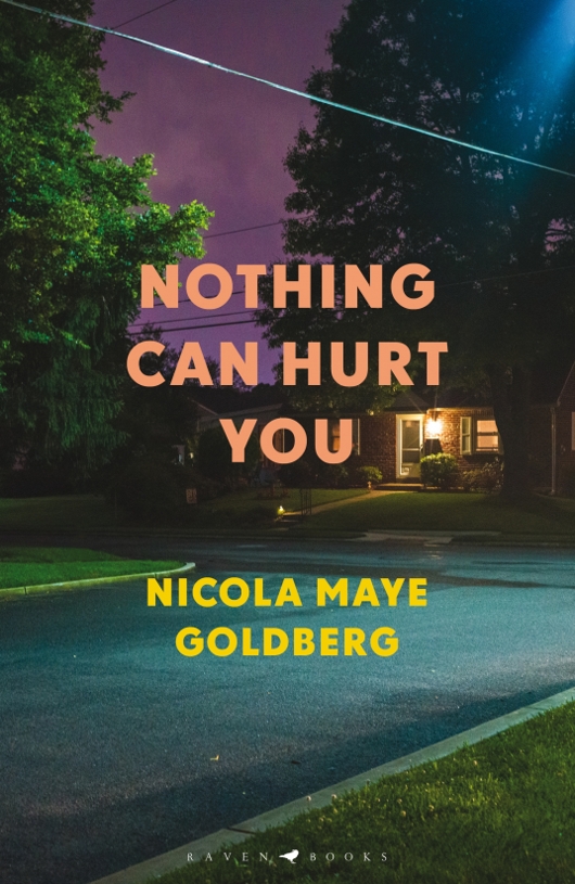 Book: Nothing Can Hurt You Now
