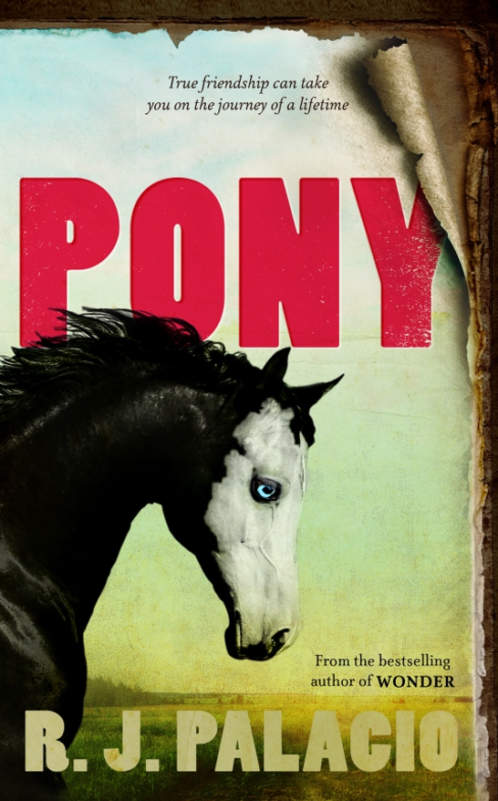 Book: Pony