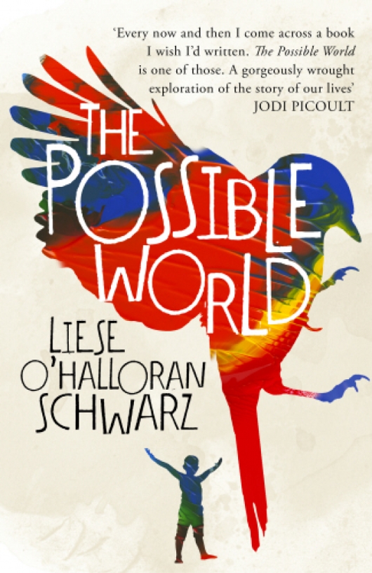 Book: The Possible World