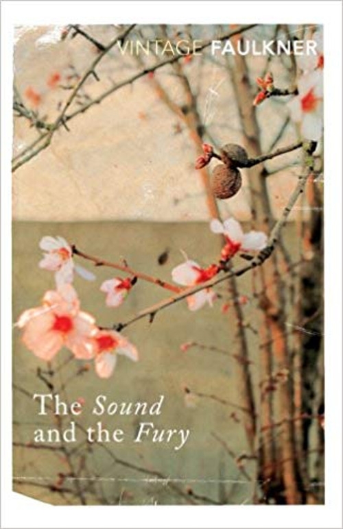 Book: The Sound and The Fury