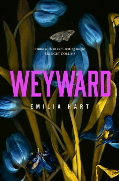 Book: Weyward
